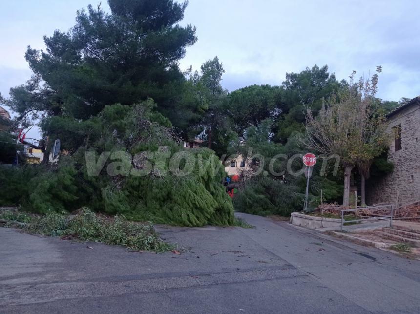 Raffiche di vento: ingenti danni e alberi caduti in diverse zone di Vasto