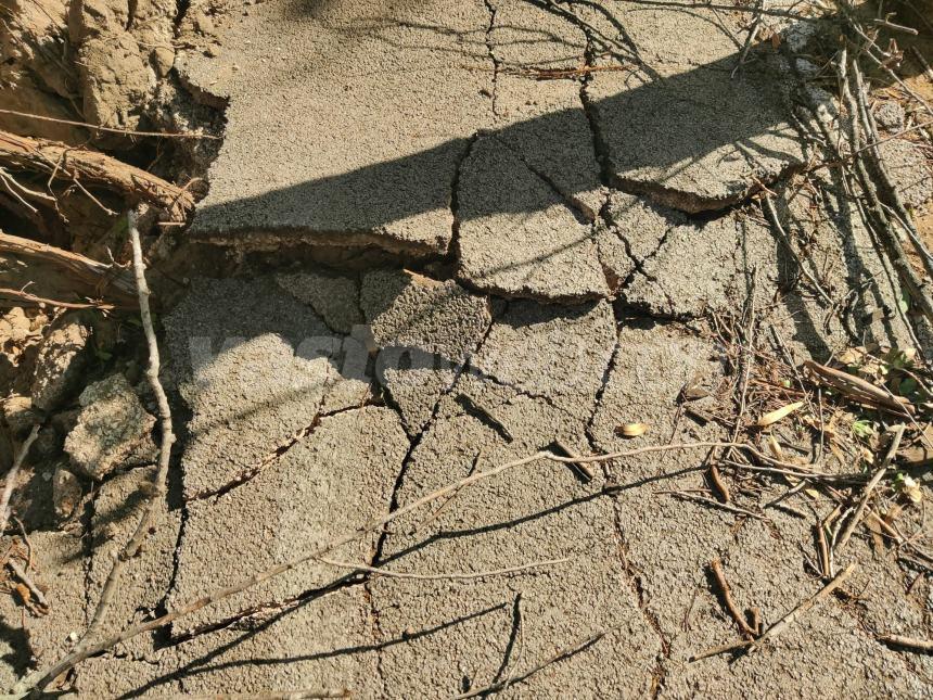 Alberi sradicati e pavimentazione sollevata: danni alla pista ciclabile della Marina