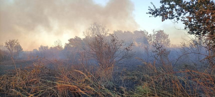 L'incendio tra Bifernina e statale 87