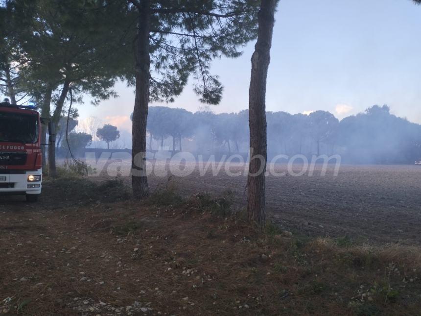 Incendio in contrada Padula tra Montenero e San Salvo