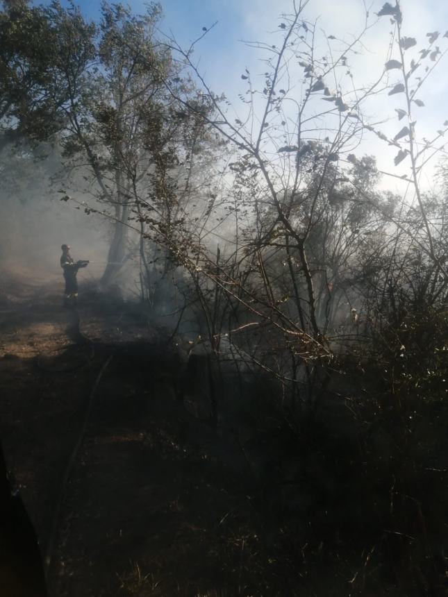 Incendi a Casalbordino e Villalfonsina, intervento della Protezione civile