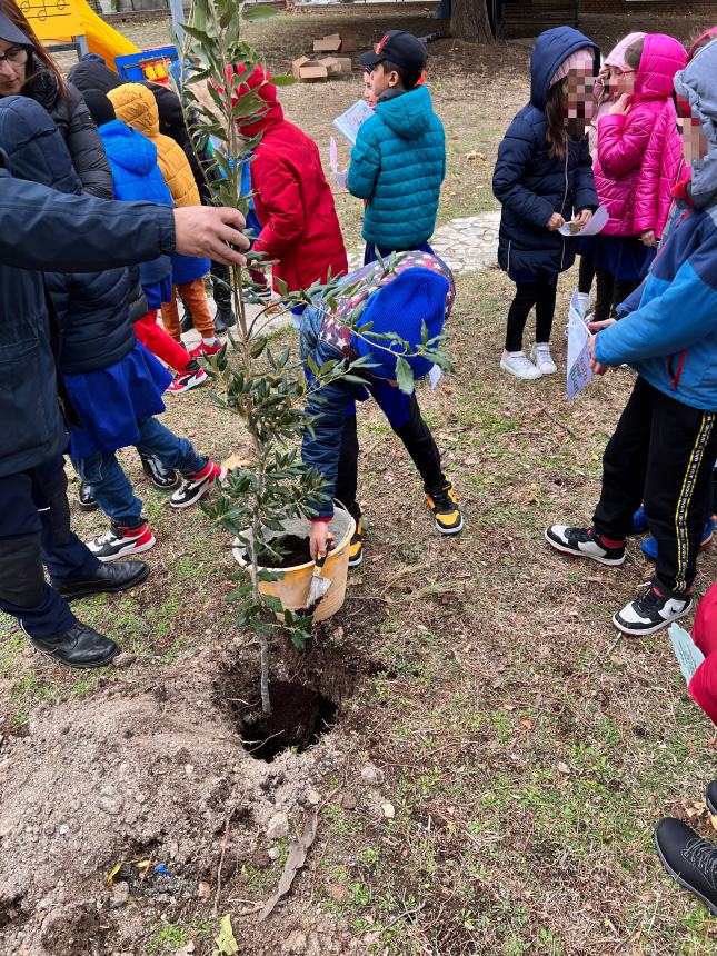 Piantati arbusti a Scerni dai bambini delle scuole per la Festa dell’Albero