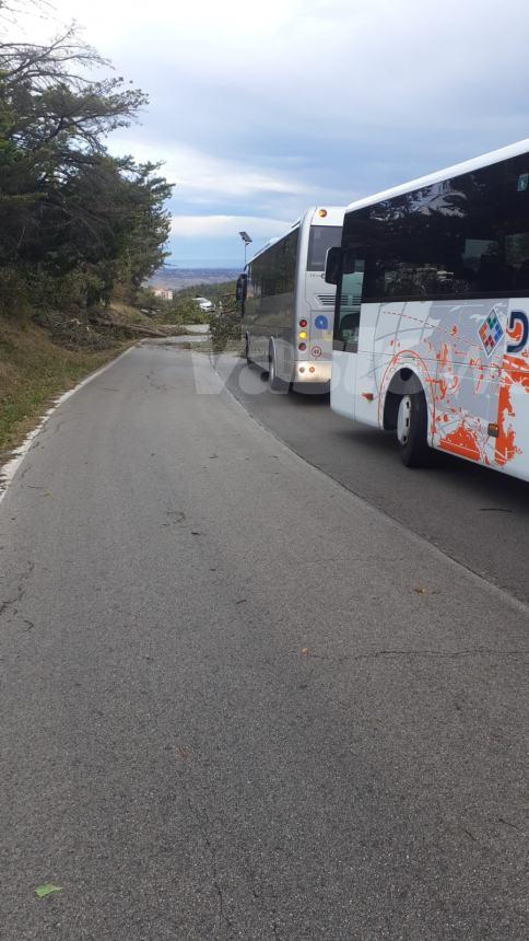 Disagi nel Vastese da San Salvo a Gissi dove un autobus di lavoratori è rimasto bloccato