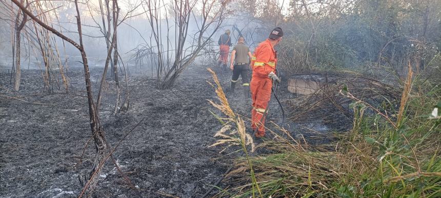 L'incendio tra Bifernina e statale 87