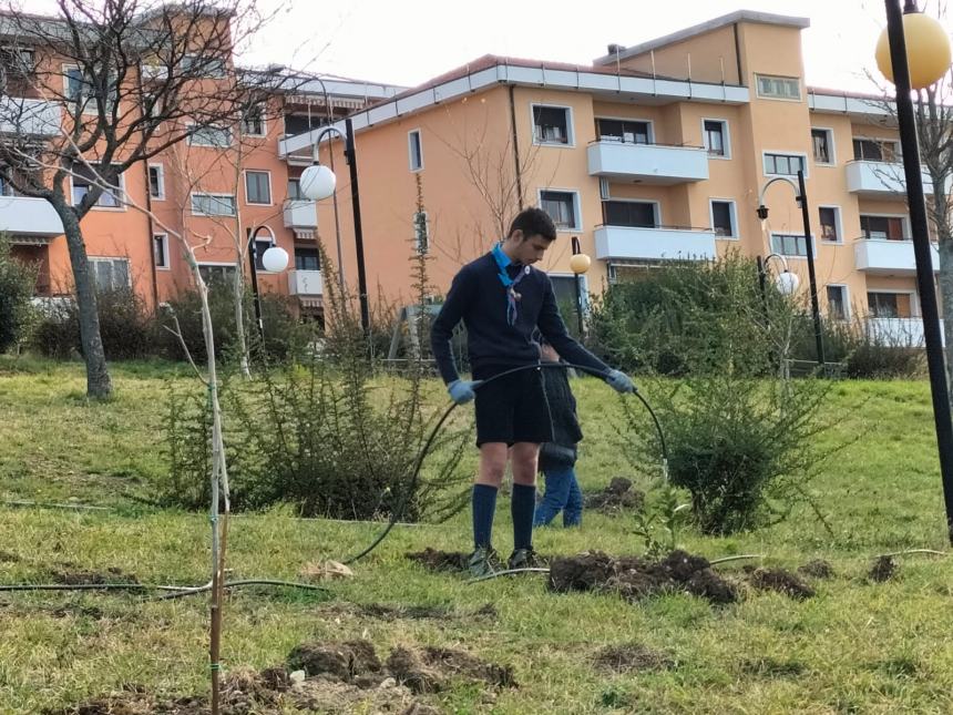 "Club a impatto zero: piantiamo alberi e ricicliamo smartphone"