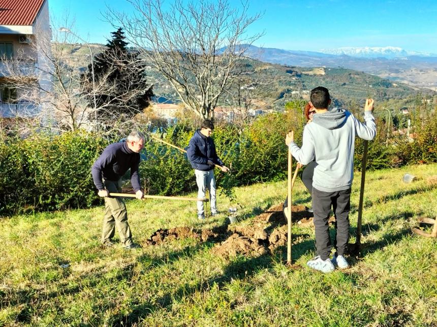 "Club a impatto zero: piantiamo alberi e ricicliamo smartphone"