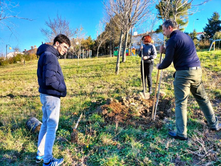 "Club a impatto zero: piantiamo alberi e ricicliamo smartphone"