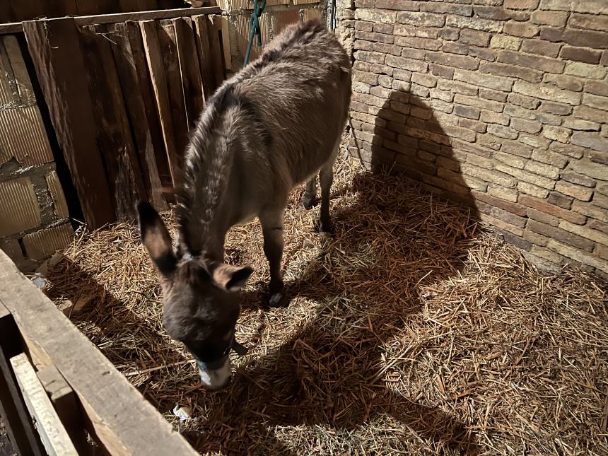 A Vasto appuntamento con la tradizione: boom di presenze al Presepe Vivente