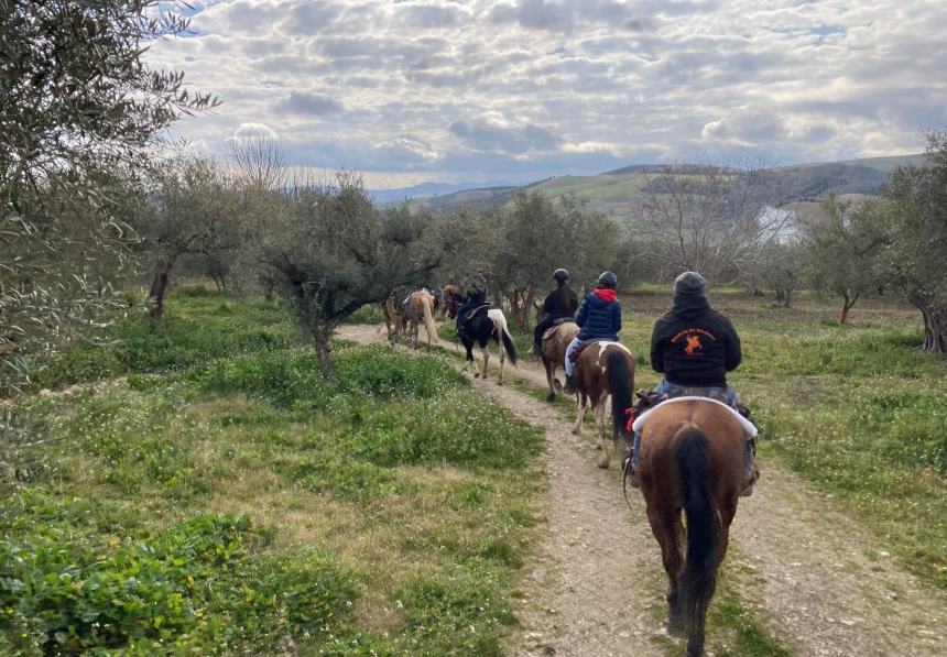 Emozioni a cavallo lungo la strada degli ulivi dove il paesaggio sorride