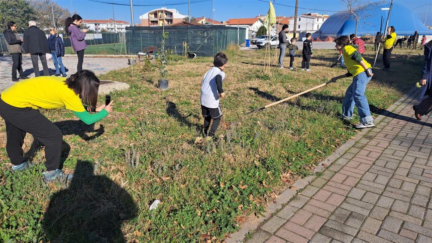 Più alberi sul viale Pertini