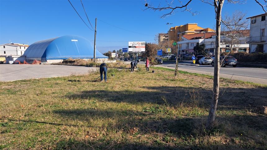 Più alberi sul viale Pertini