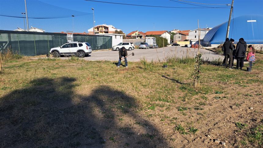 Più alberi sul viale Pertini