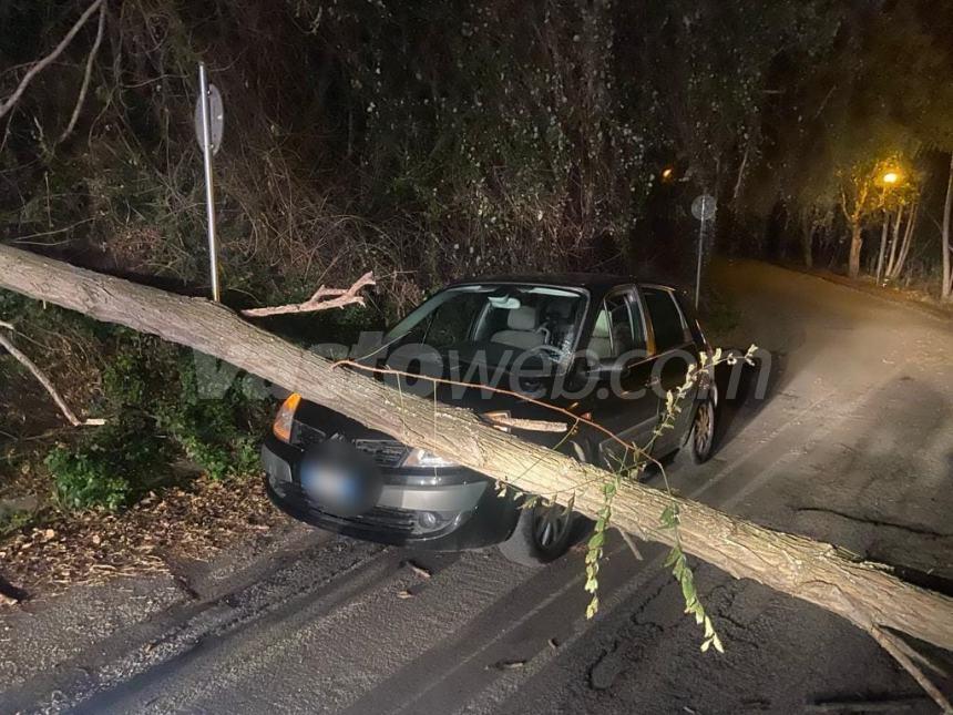 Auto finisce contro albero caduto in strada a Vasto, illeso il conducente