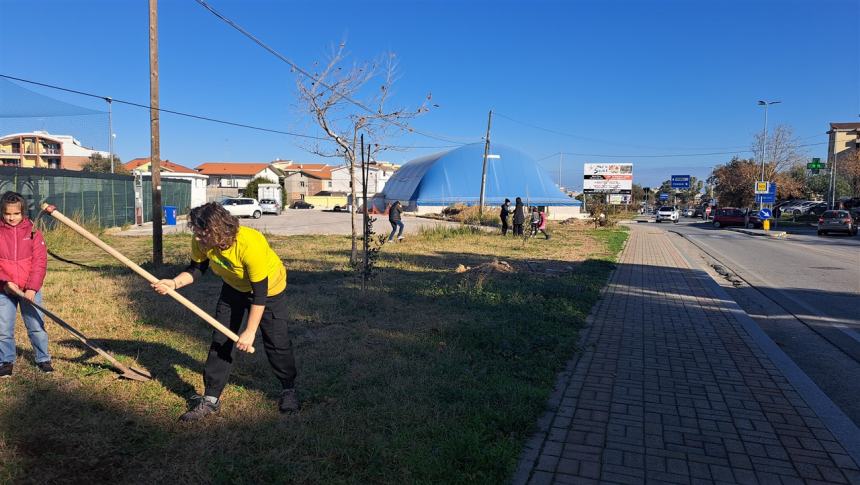 Più alberi sul viale Pertini