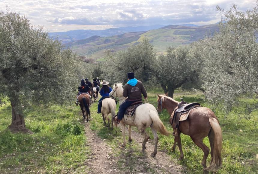 Emozioni a cavallo lungo la strada degli ulivi dove il paesaggio sorride