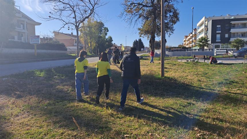 Più alberi sul viale Pertini