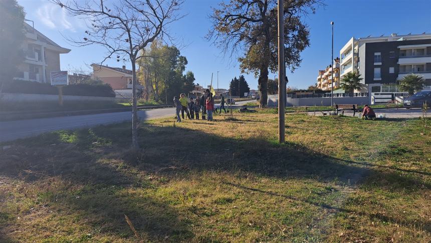 Più alberi sul viale Pertini