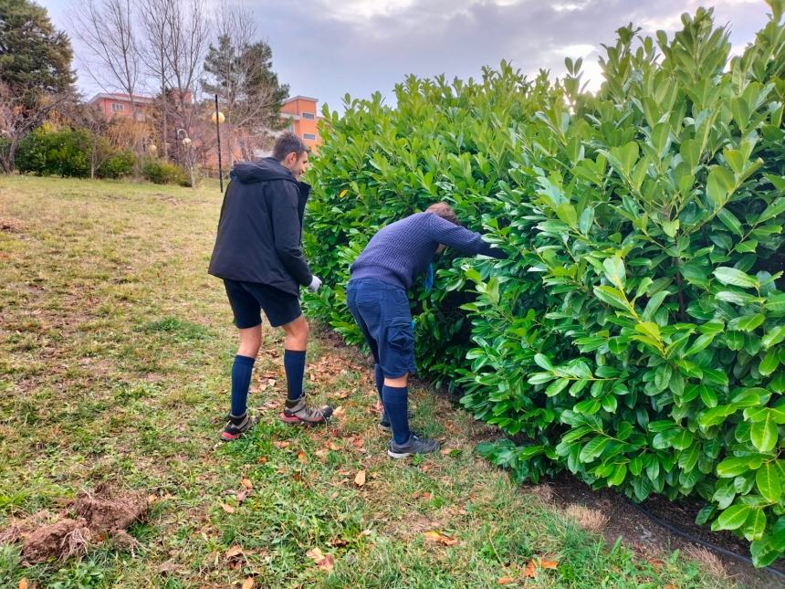 "Club a impatto zero: piantiamo alberi e ricicliamo smartphone"