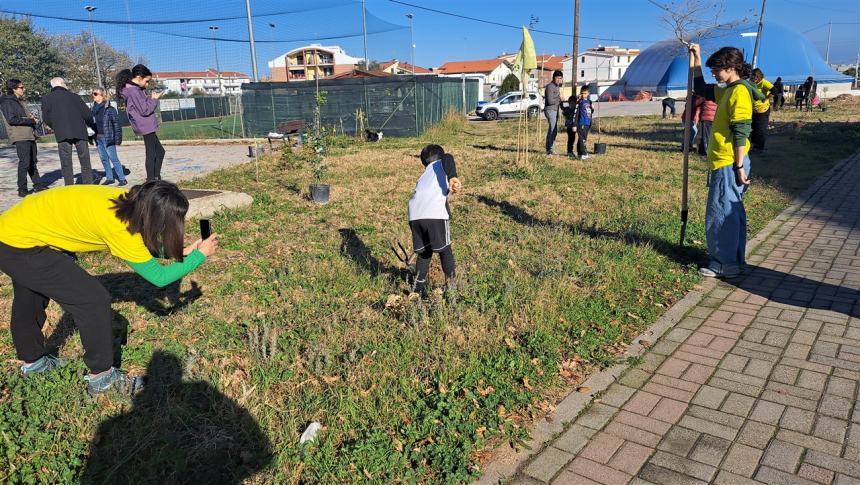 Più alberi sul viale Pertini