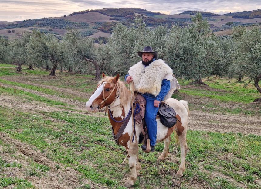 Emozioni a cavallo lungo la strada degli ulivi dove il paesaggio sorride