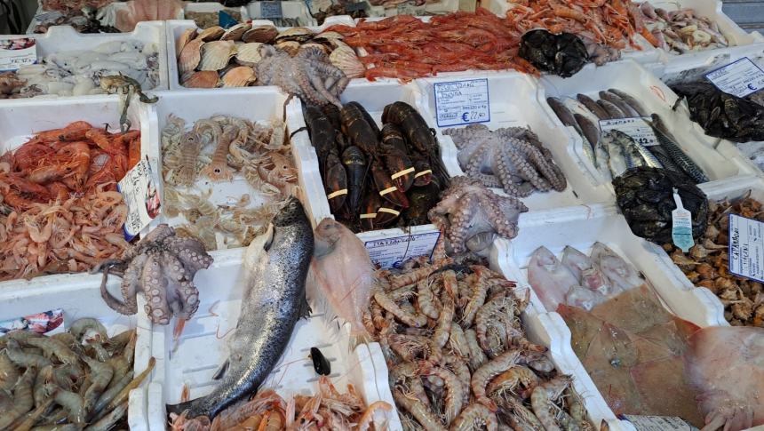 Al mercato del pesce di San Timoteo