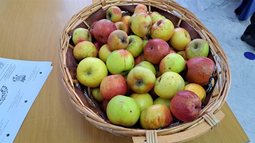 Cibus: la buona e sana alimentazione al Boccardi-Tiberio