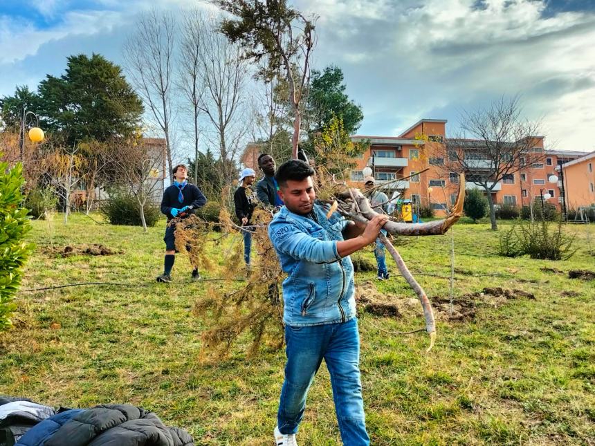 "Club a impatto zero: piantiamo alberi e ricicliamo smartphone"