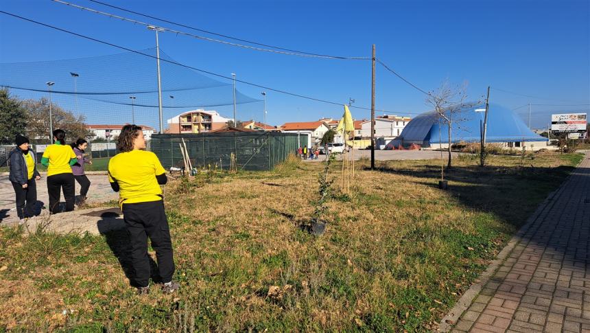 Più alberi sul viale Pertini