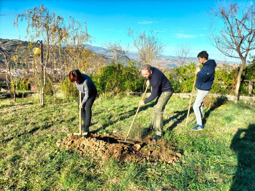 "Club a impatto zero: piantiamo alberi e ricicliamo smartphone"