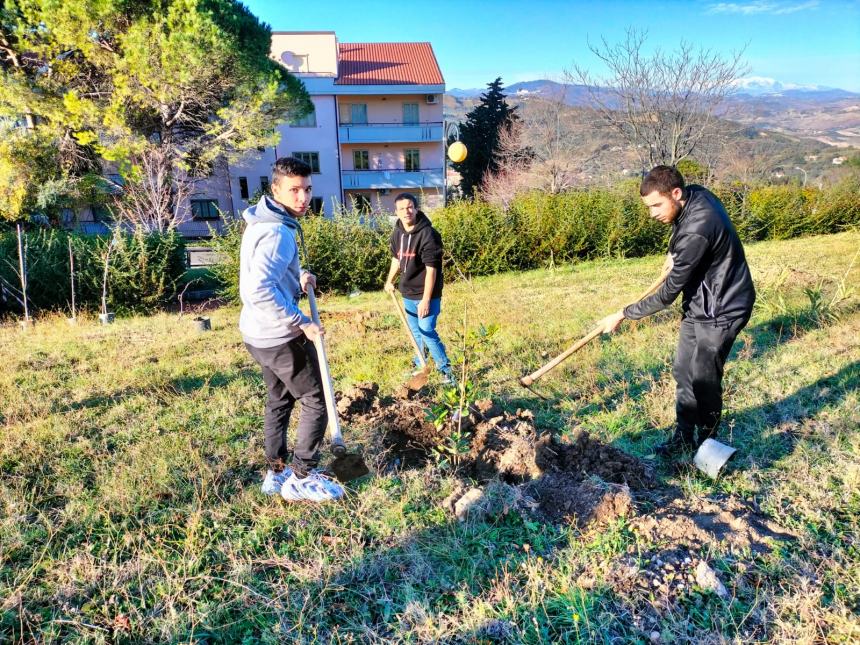 "Club a impatto zero: piantiamo alberi e ricicliamo smartphone"