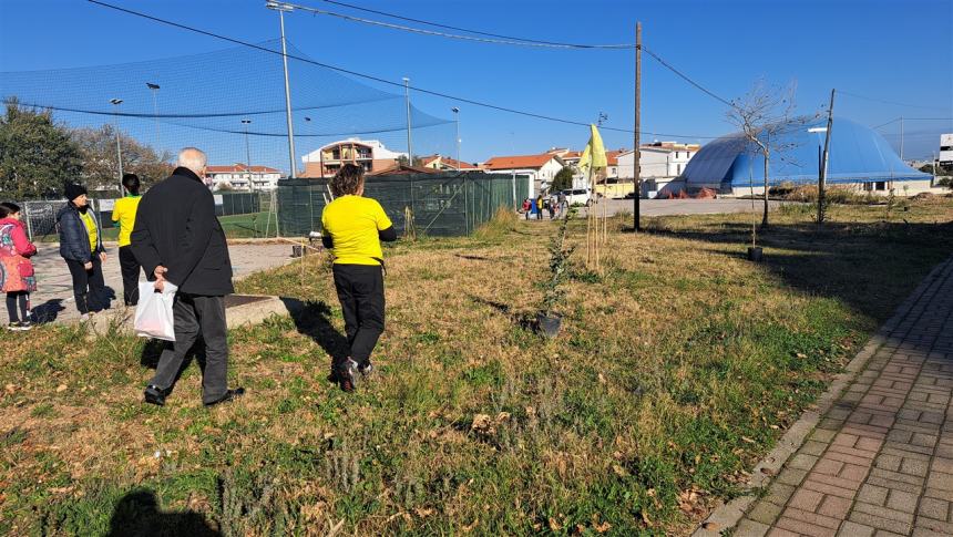 Più alberi sul viale Pertini