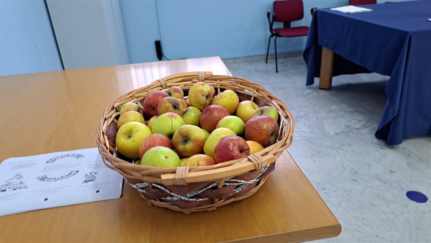 Cibus: la buona e sana alimentazione al Boccardi-Tiberio