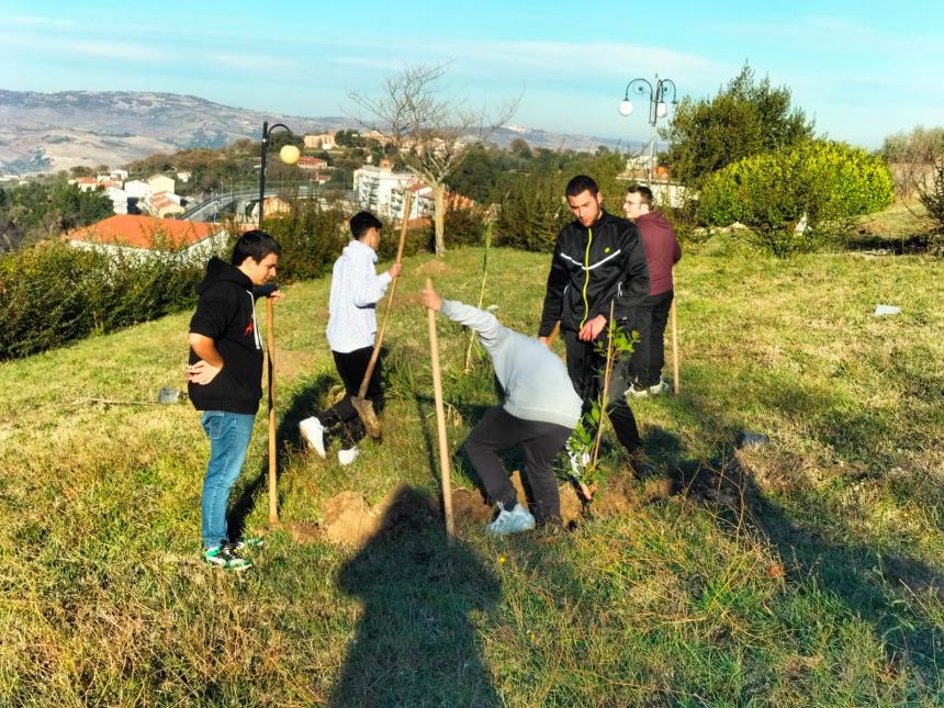 "Club a impatto zero: piantiamo alberi e ricicliamo smartphone"