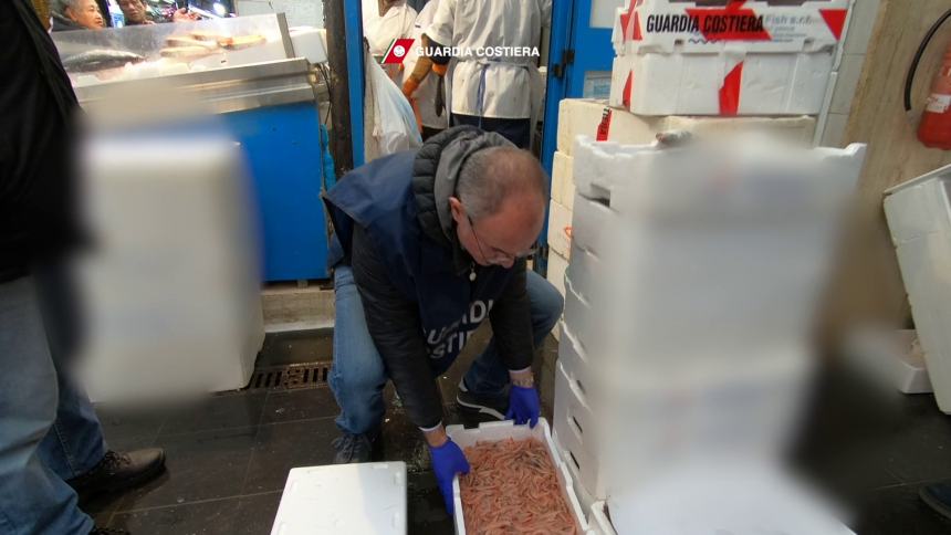 Operazione Spinnaker: Guardia Costiera a tutela della filiera pesca