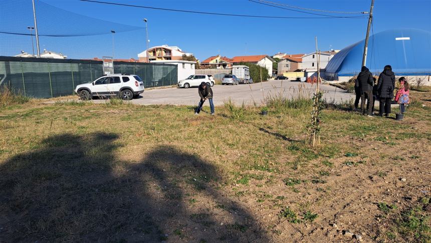 Più alberi sul viale Pertini