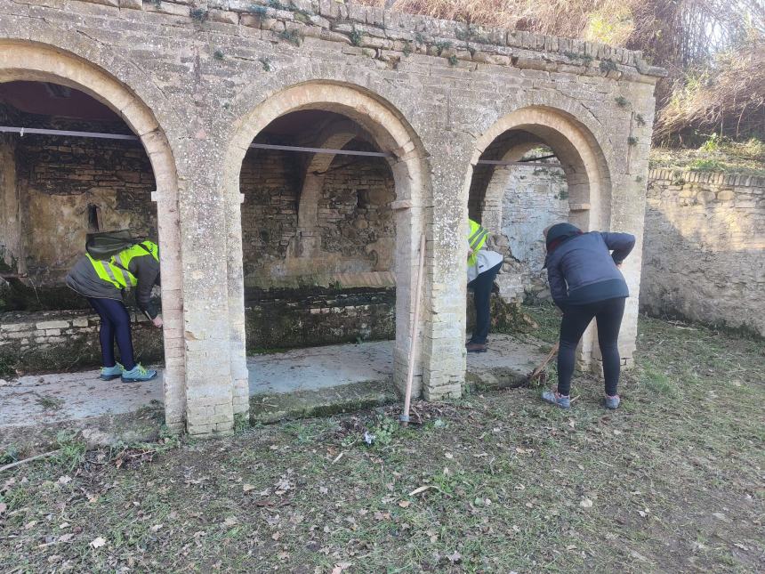 Volontari del Borsacchio proseguono con successo il progetto alberi e la cura del territorio