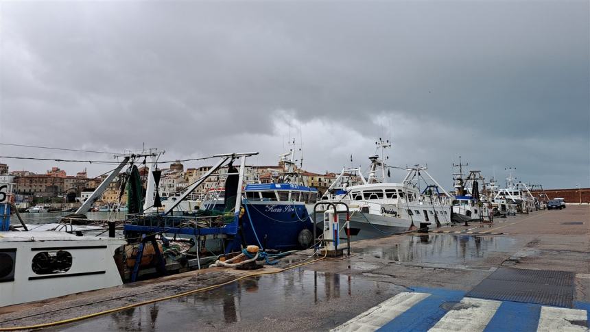 Pescherecci fermi al porto di Termoli