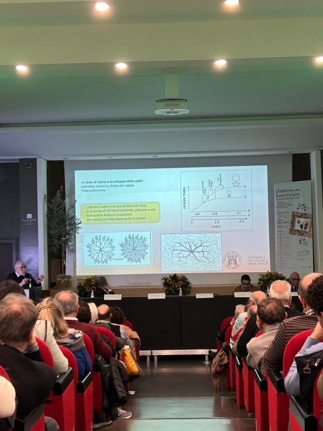 “Il futuro del nostro extravergine”, in tantissimi al seminario sull'olio abruzzese