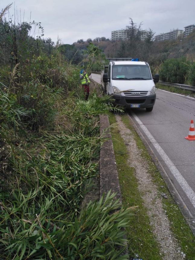 Sfalcio dell'erba in via Mario Molino e viadotto San Nicola