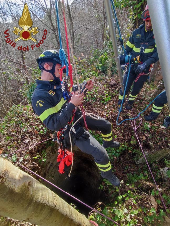 Cane caduto in un pozzo recuperato dai Vigili del fuoco