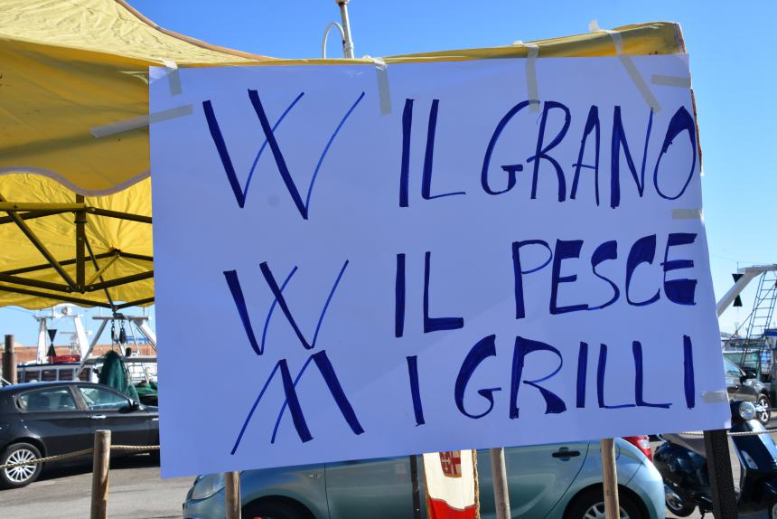 Clacson e sirene, pescatori e agricoltori al porto contro l'Europa matrigna