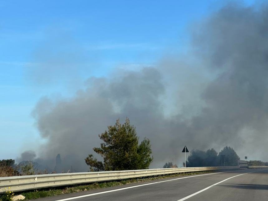 Divampa incendio lungo la Tangenziale Nord