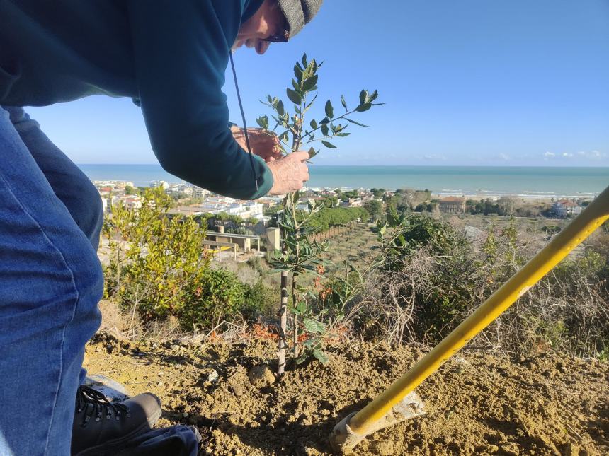 Volontari del Borsacchio proseguono con successo il progetto alberi e la cura del territorio