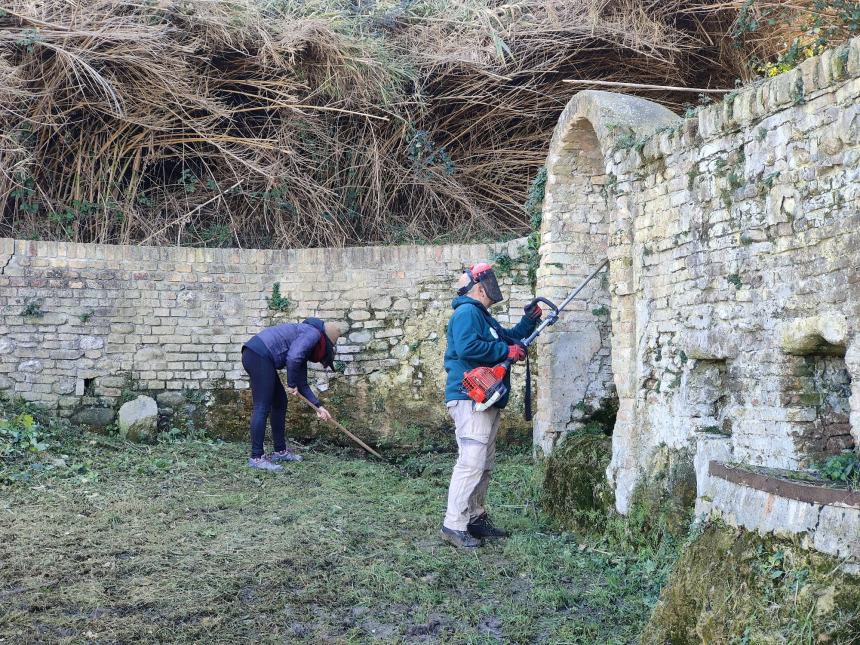 Volontari del Borsacchio proseguono con successo il progetto alberi e la cura del territorio