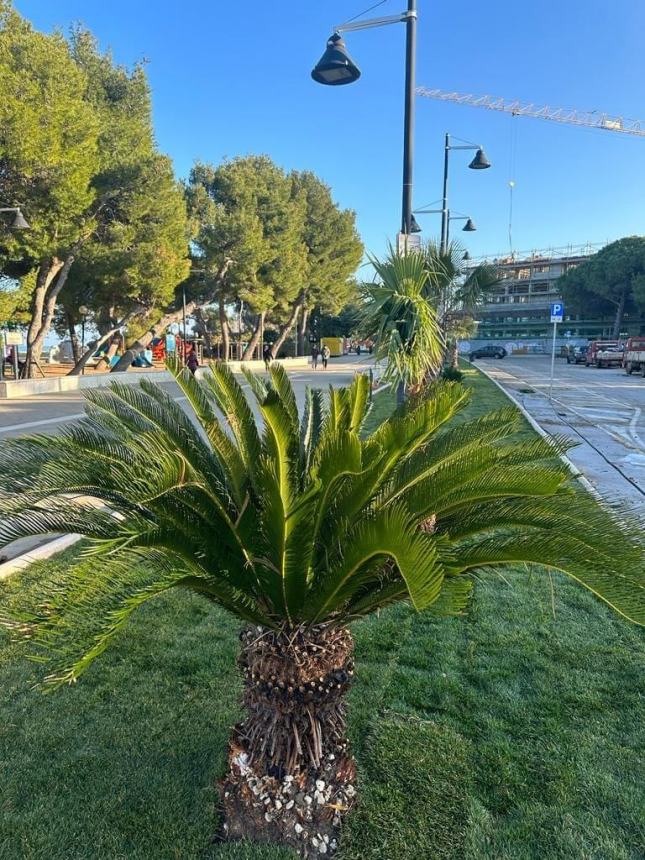 Vasto Marina cambia look: manto verde per le aiuole del lungomare