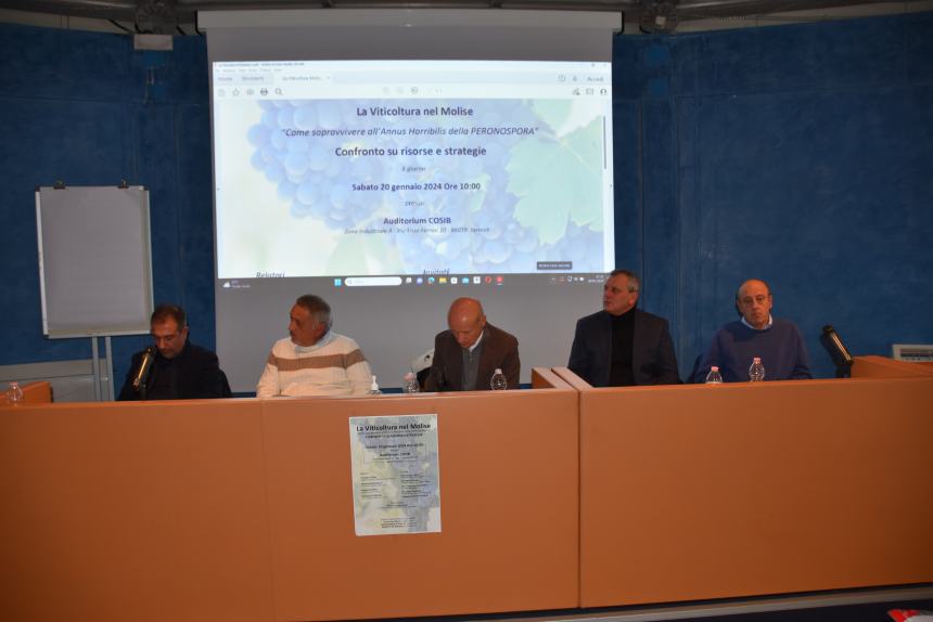 "Come sopravvivere all'annus horribilis della peronospora: confronto su risorse e strategie"