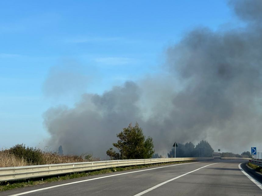 Divampa incendio lungo la Tangenziale Nord