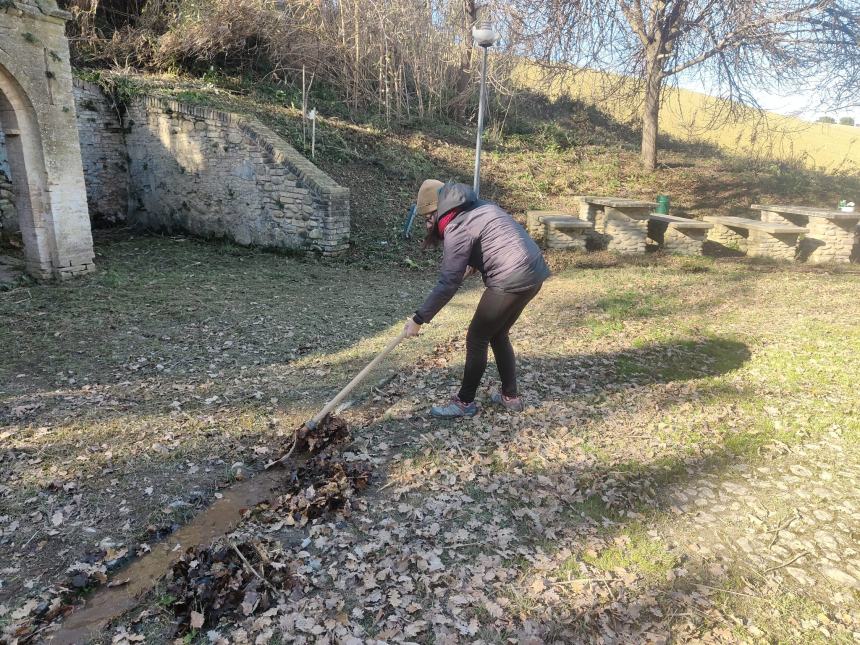 Volontari del Borsacchio proseguono con successo il progetto alberi e la cura del territorio