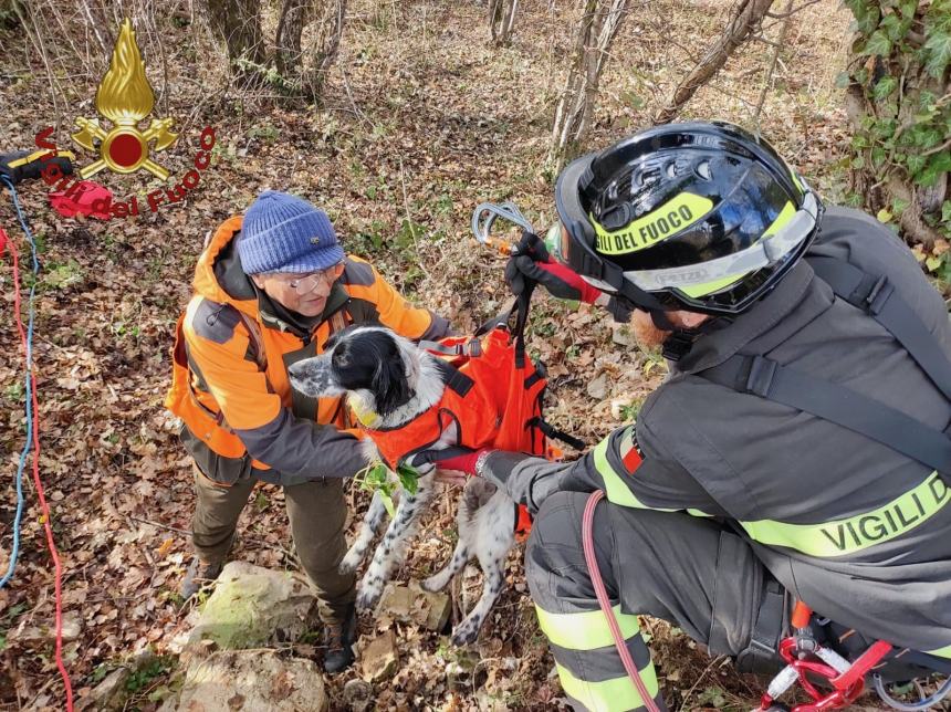 Cane caduto in un pozzo recuperato dai Vigili del fuoco