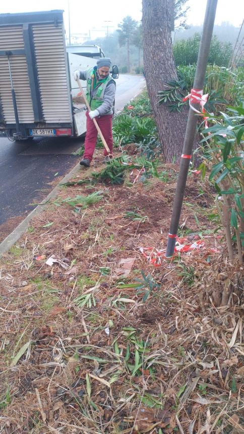 Sfalcio dell'erba in via Mario Molino e viadotto San Nicola